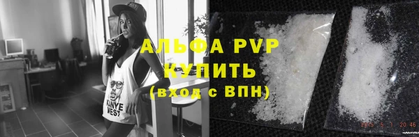 тгк Бородино