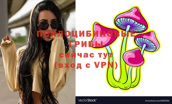 spice Бугульма