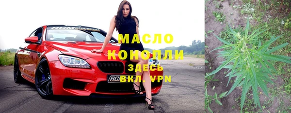 тгк Бородино
