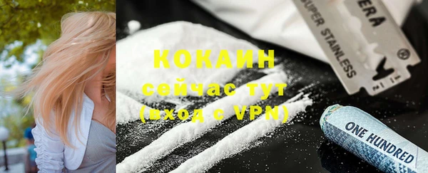 дурь Бронницы