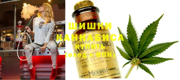 spice Бугульма