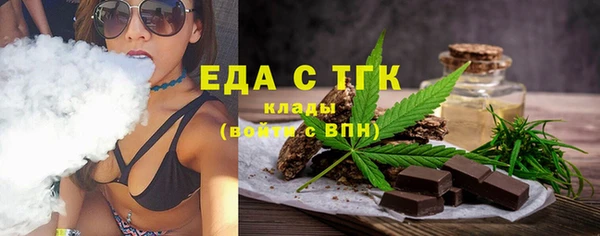 тгк Бородино
