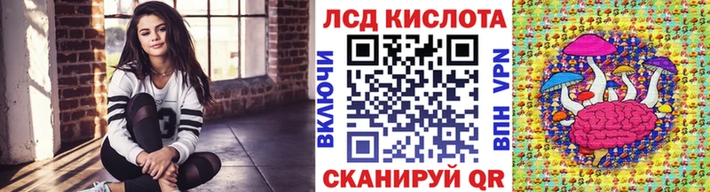 мега как войти  Данилов  Наркотические марки 1500мкг  как найти наркотики 
